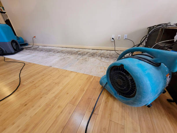 Professional Water Damage Repair technician working in Long Beach, MS